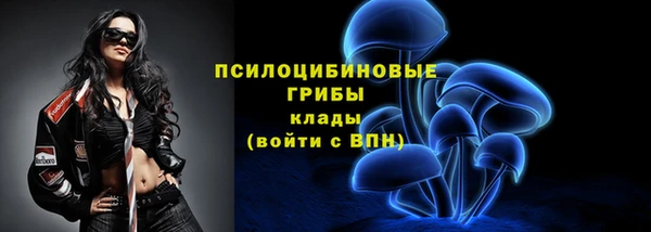 меф Ельня