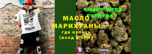 меф Ельня
