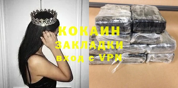 меф Ельня