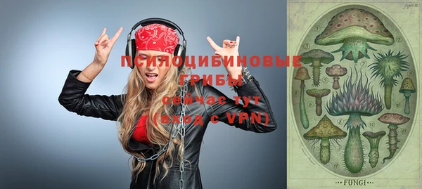 экстази Дмитриев
